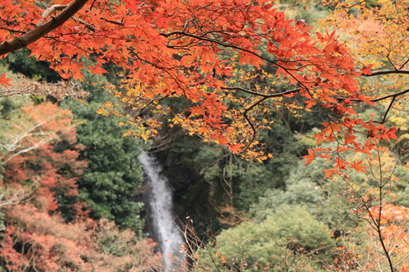 全国の供養慣習めぐり　～ 愛媛県の巻 ～